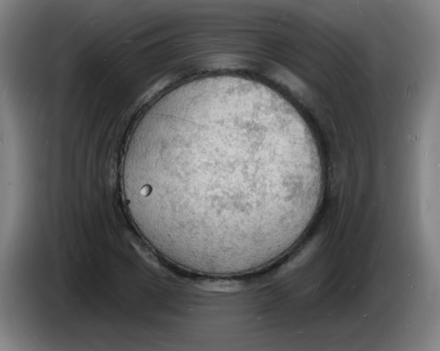 X0000085280833200703301914