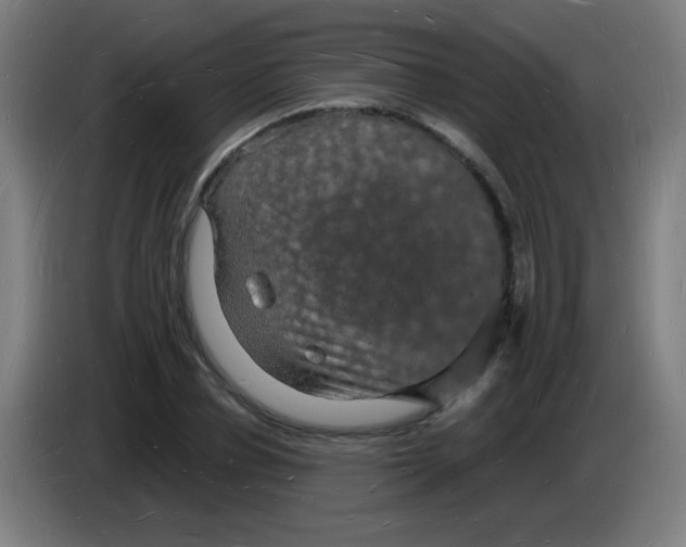 X0000085280834200703301914