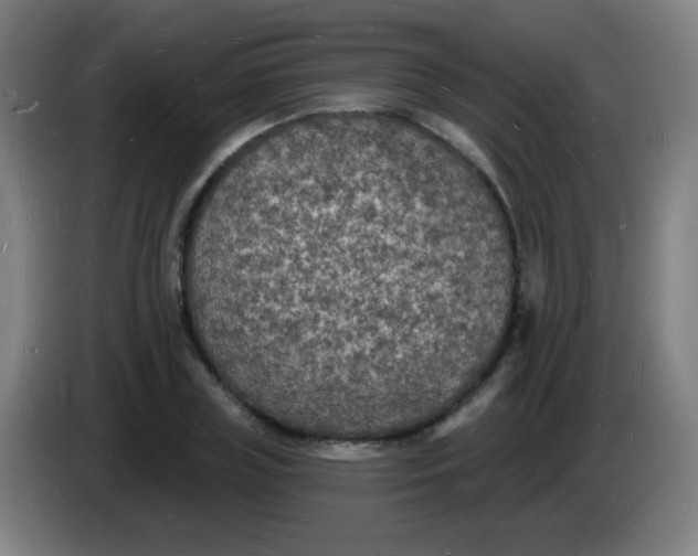 X0000085280835200703301914