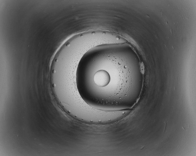 X0000085280836200703301914