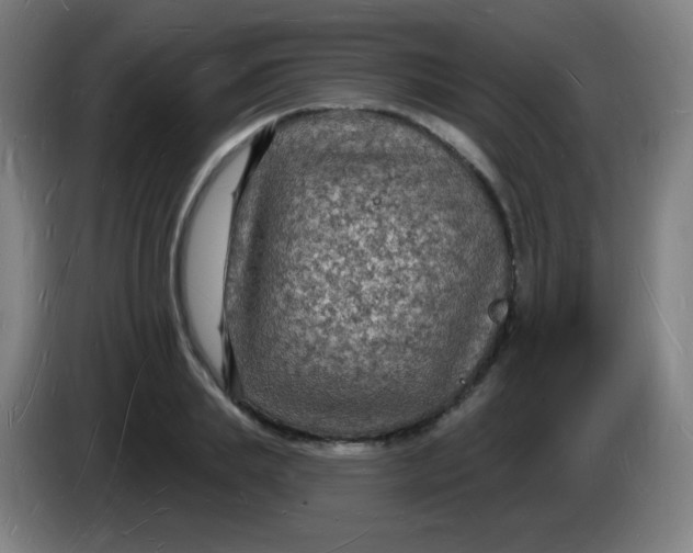X0000085280839200703301914