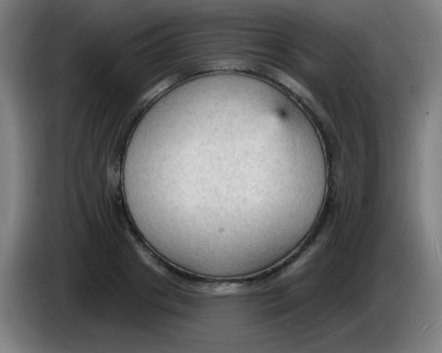 X0000085280841200703301914