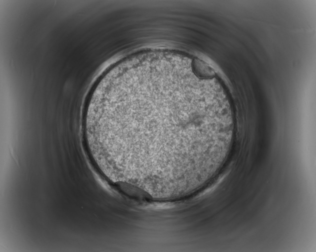 X0000085280845200703301914