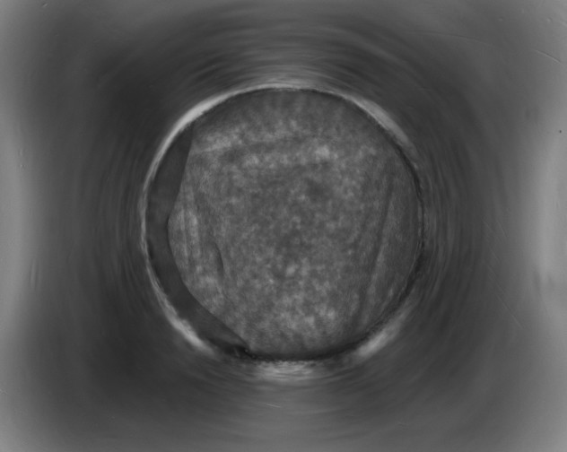 X0000085280846200703301914