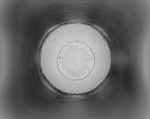 X0000085280848200703301914