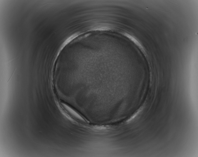 X0000085280850200703301914