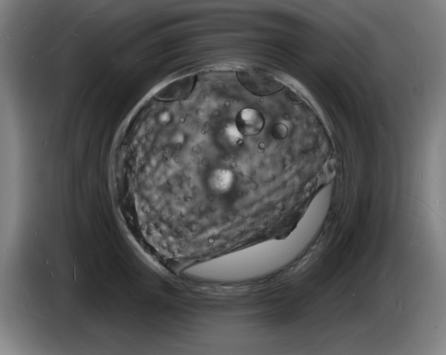 X0000085280851200703301914