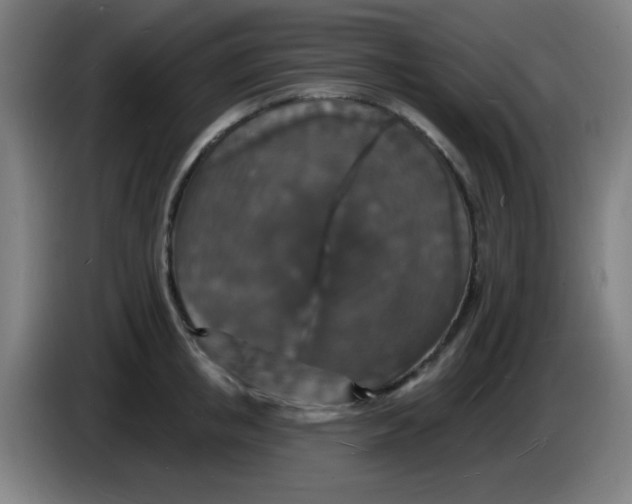 X0000085280853200703301914