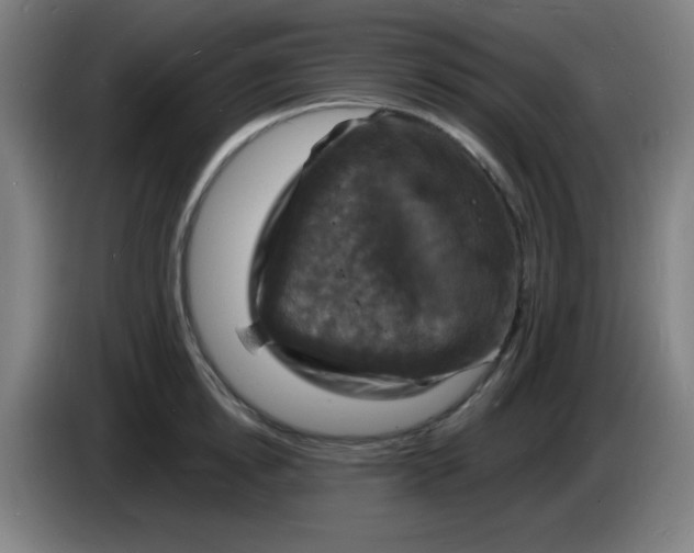 X0000085280854200703301914