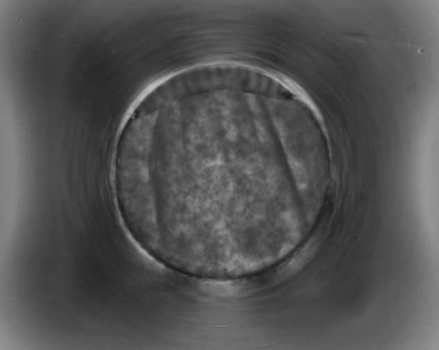 X0000085280855200703301914