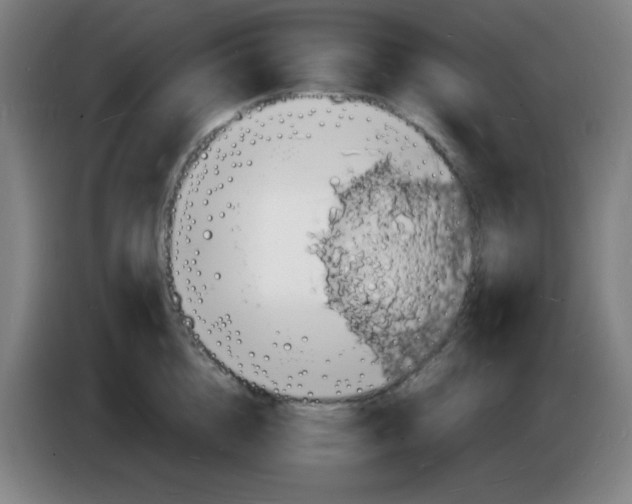 X0000085280856200703301914