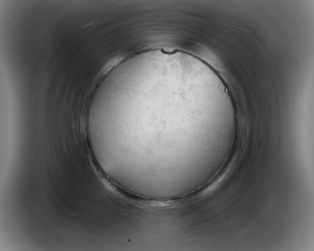 X0000085280857200703301914