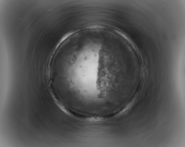X0000085280858200703301914