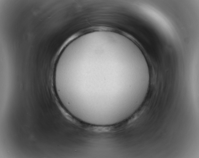 X0000085280861200703301914