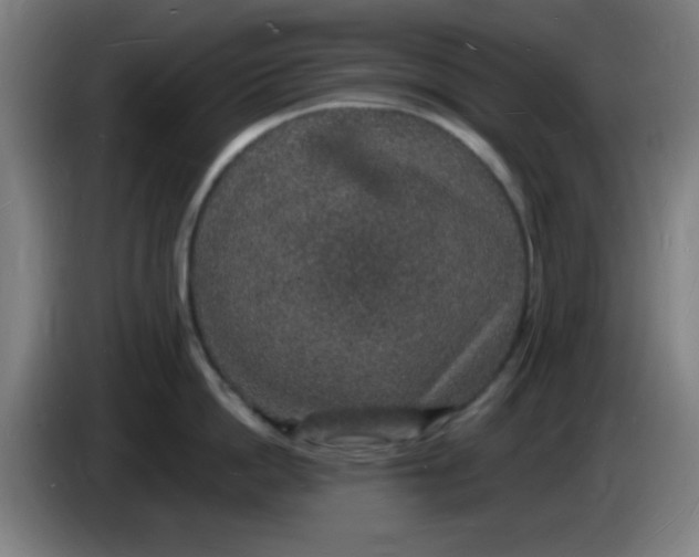 X0000085280862200703301914