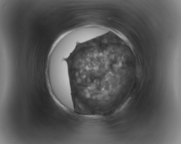 X0000085280863200703301914