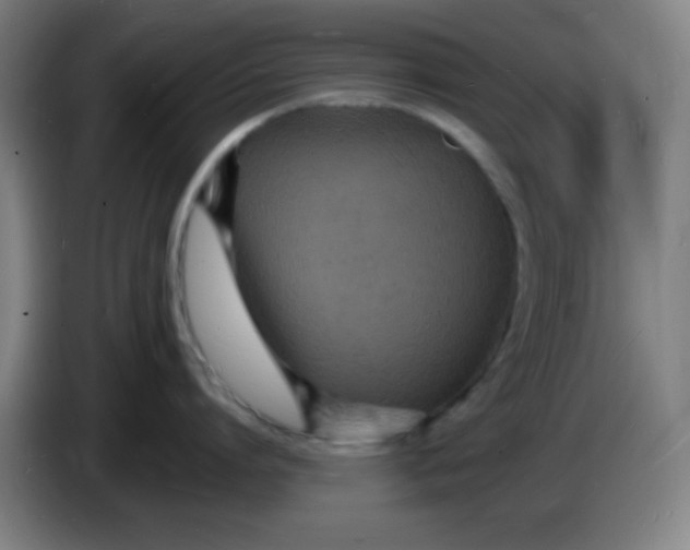 X0000085280864200703301914