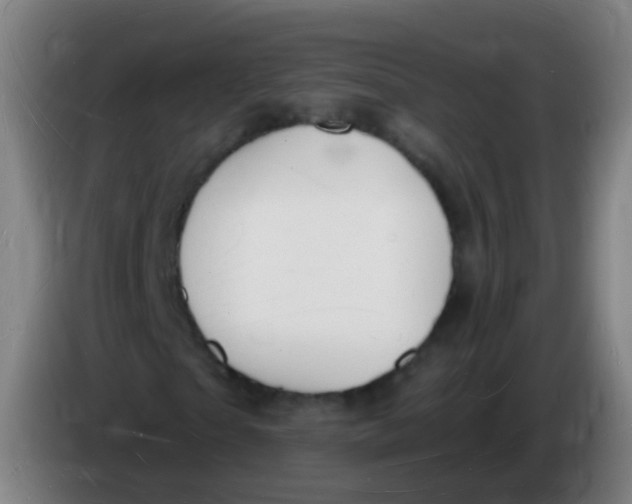X0000085280865200703301914