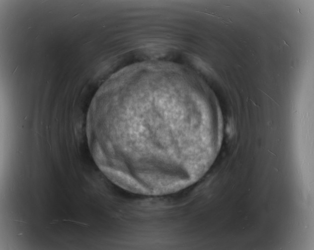 X0000085280867200703301914