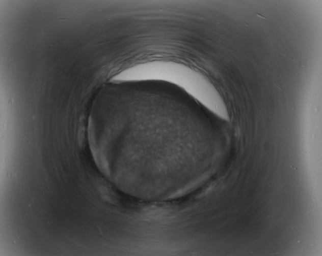 X0000085280868200703301914
