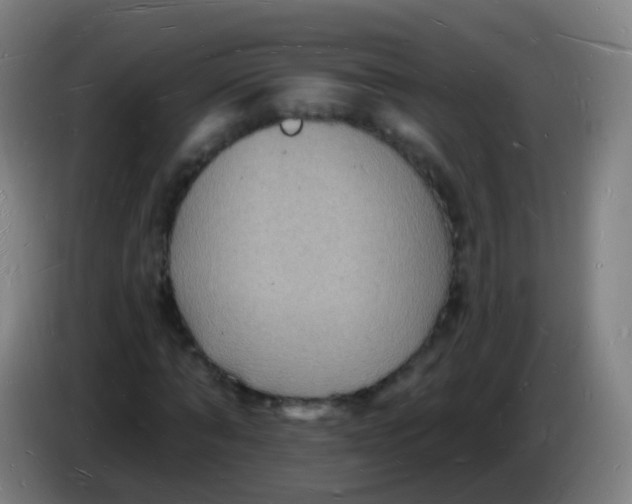 X0000085280870200703301913