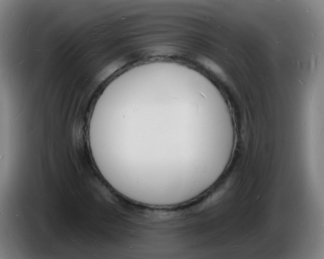 X0000085280873200703301913