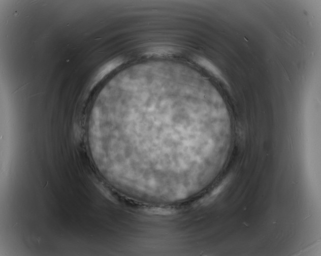 X0000085280874200703301913