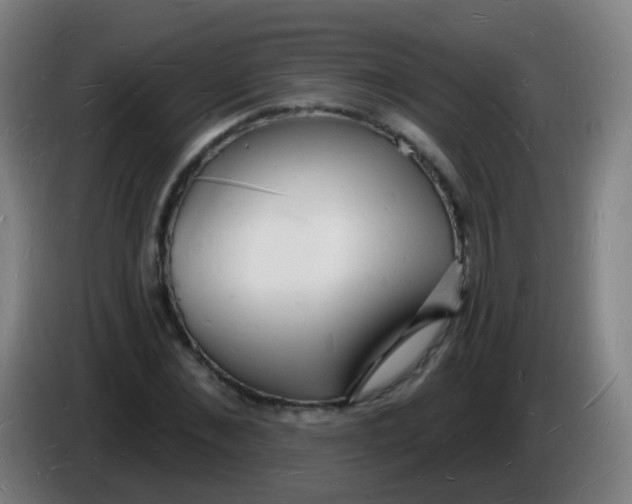 X0000085280876200703301913