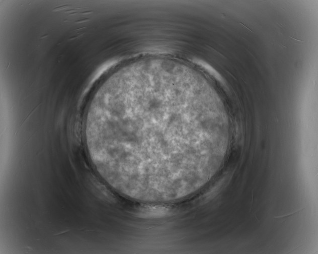 X0000085280878200703301913