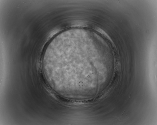 X0000085280882200703301913