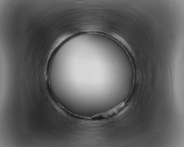 X0000085280885200703301913