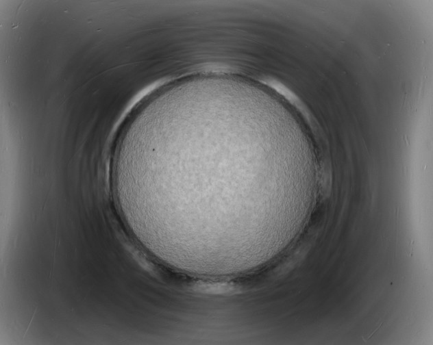 X0000085280886200703301913