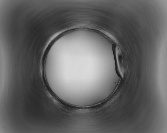 X0000085280888200703301913