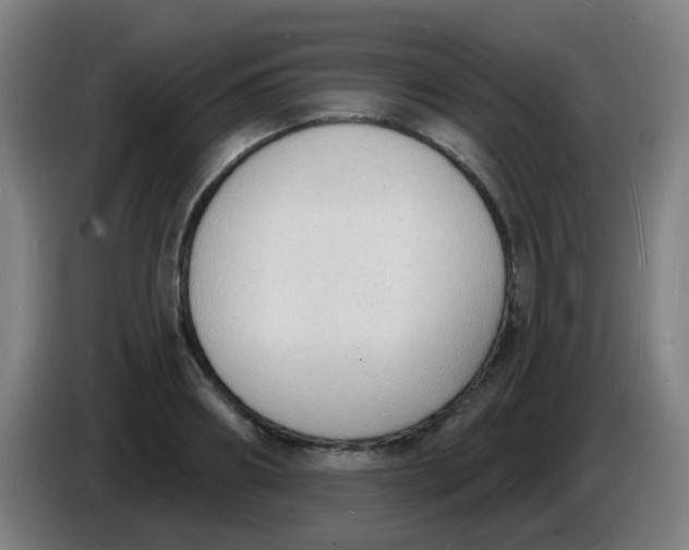 X0000085280890200703301913