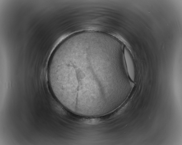 X0000085280891200703301913