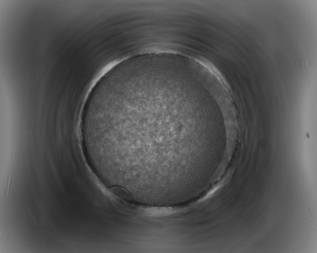 X0000085280893200703301913