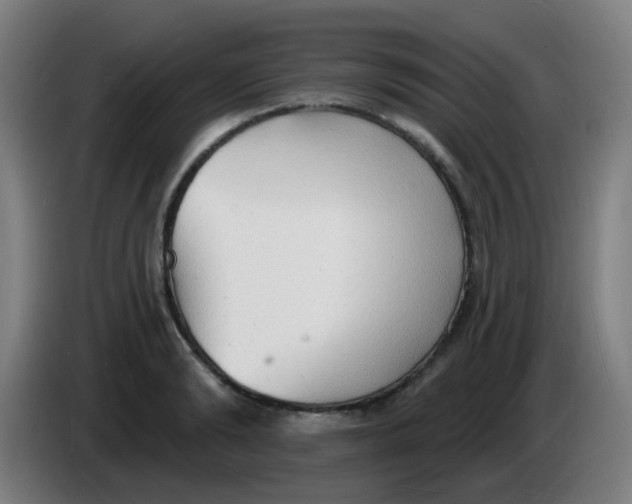 X0000085280894200703301913