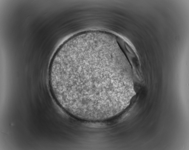 X0000085280895200703301913