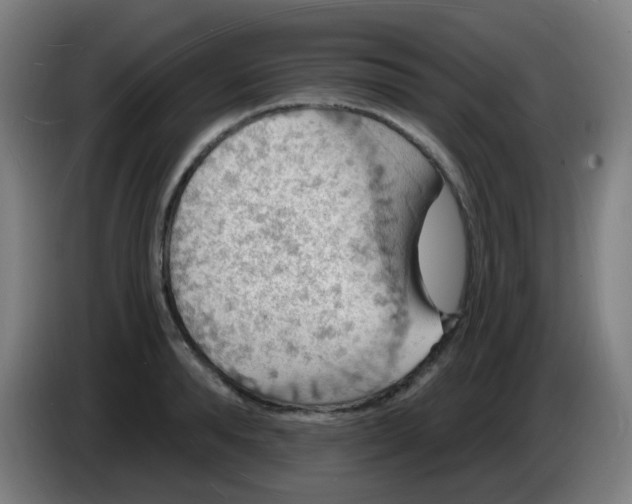 X0000085280896200703301913