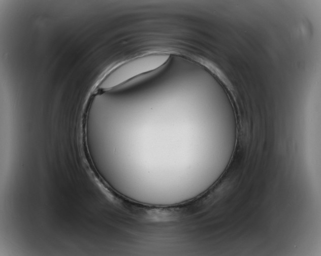 X0000085280898200703301913