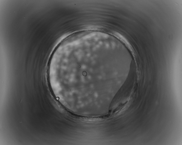 X0000085280899200703301913