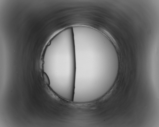 X0000085280900200703301913