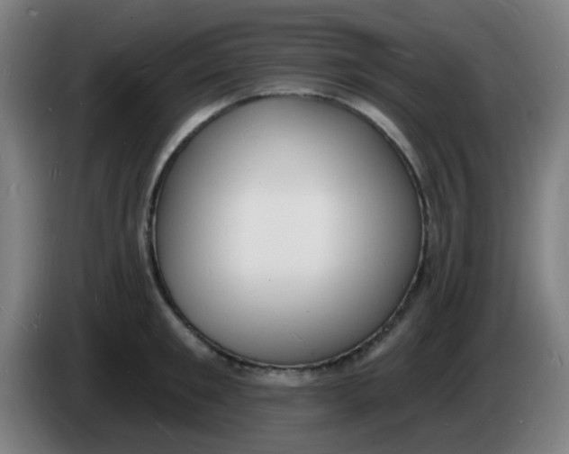 X0000085280901200703301913