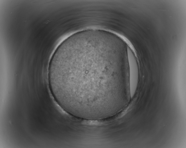 X0000085280903200703301913