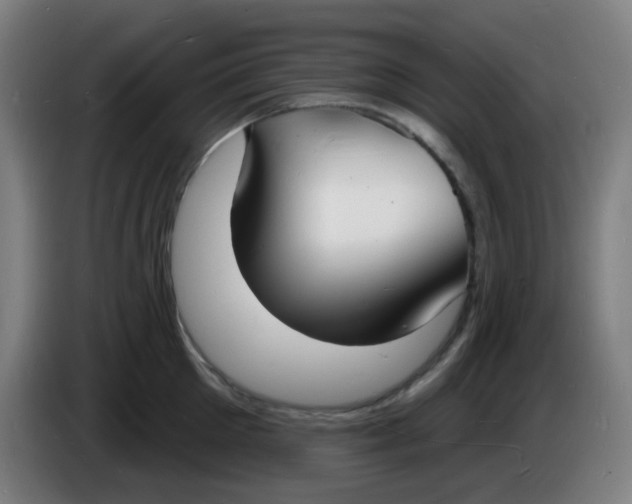X0000085280905200703301913