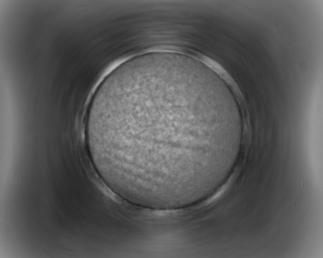X0000085280908200703301913