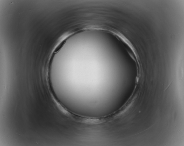 X0000085280909200703301913