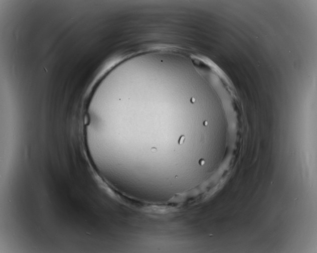 X0000085280910200703301913