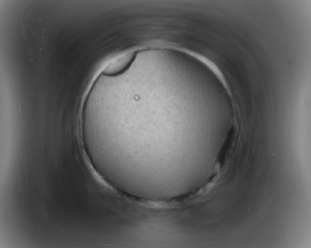X0000085280911200703301913
