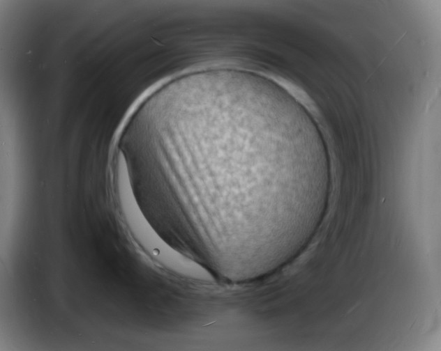 X0000085280912200703301913